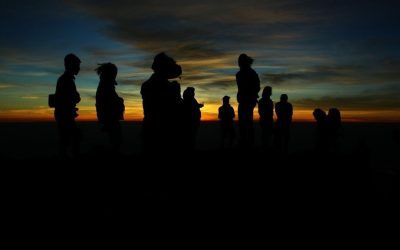 What Do You Do, Then?