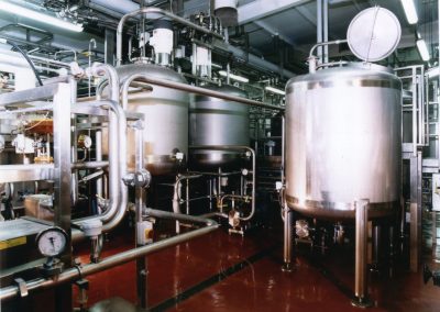Process Efficiency Improvements for Fruit Processing Plant