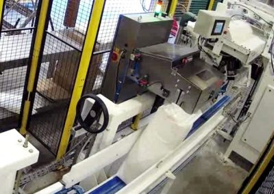 Packaging Failures in a Pharmaceutical Plant