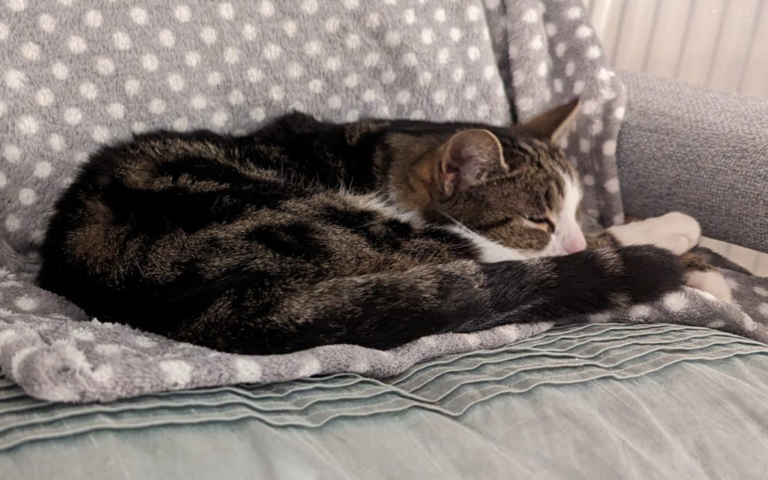 Have You Been Missing Out?