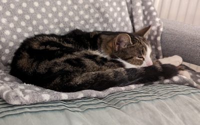 Have You Been Missing Out?