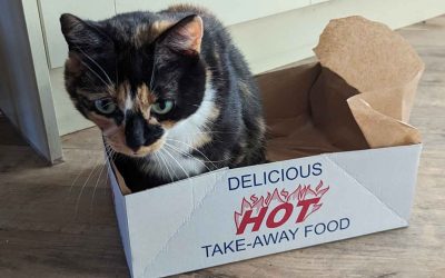 You Don’t Always Get the Takeaways You Expected